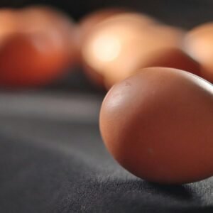 Close-up of brown eggs on dark fabric, highlighting texture and shape.